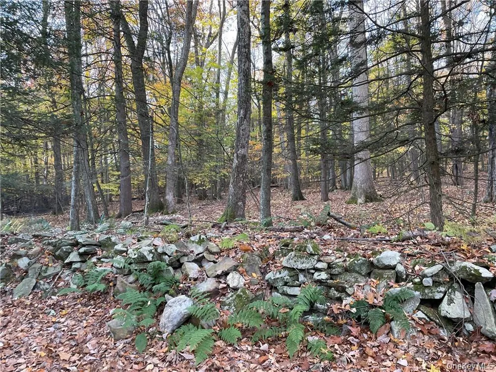 13 Birch Street Middletown, NY 10940
