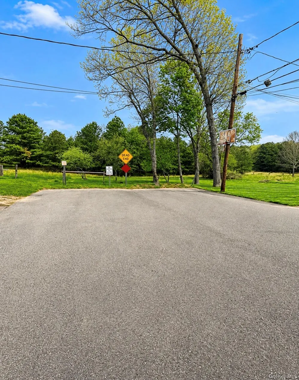 58 Iroquois Trail Ridge, NY 11961