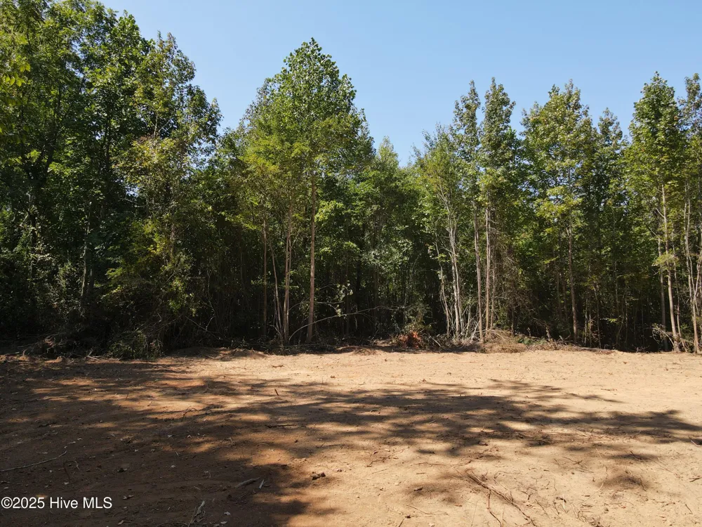 00 Alert Road Louisburg, NC 27549