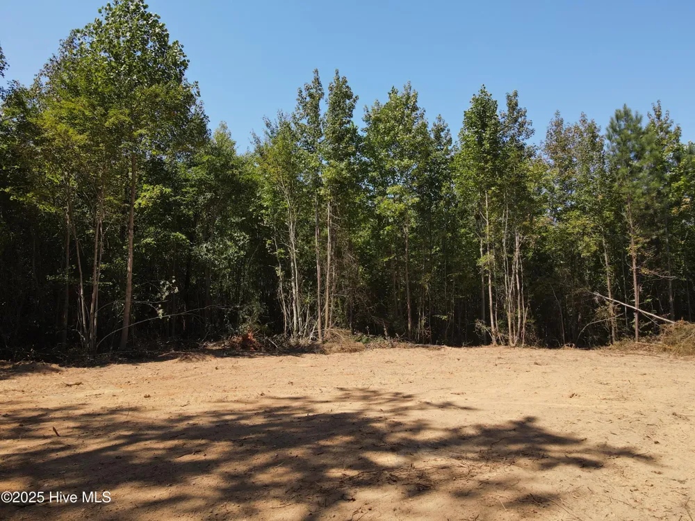 00 Alert Road Louisburg, NC 27549