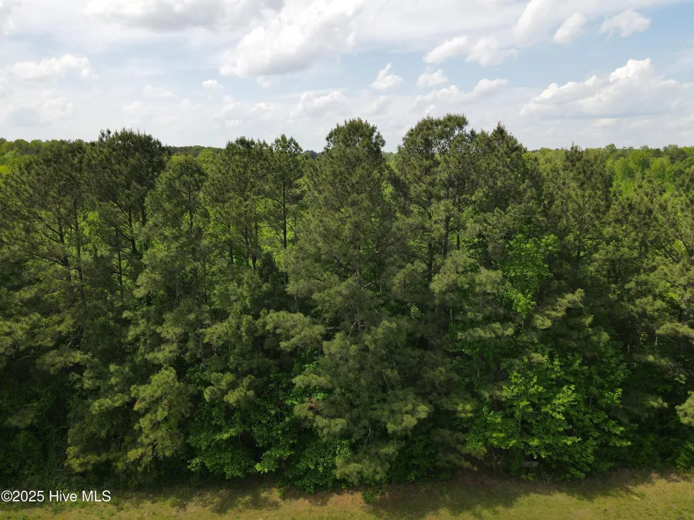 00 Alert Road Louisburg, NC 27549