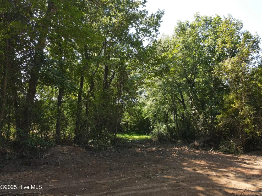 00 Alert Road Louisburg, NC 27549