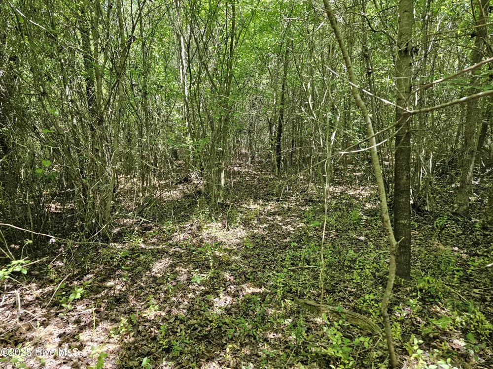 00 Alert Road Louisburg, NC 27549