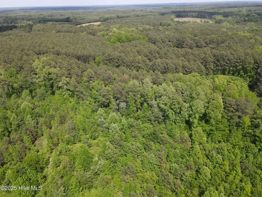 00 Alert Road Louisburg, NC 27549