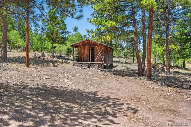841 Plateau Drive Guffey, CO 80820
