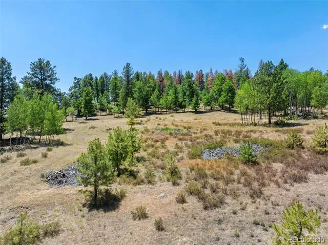 841 Plateau Drive Guffey, CO 80820