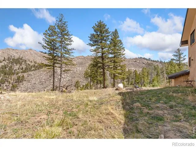 520 Isaac Lane Bellvue, CO 80512