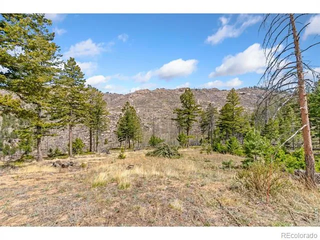 520 Isaac Lane Bellvue, CO 80512