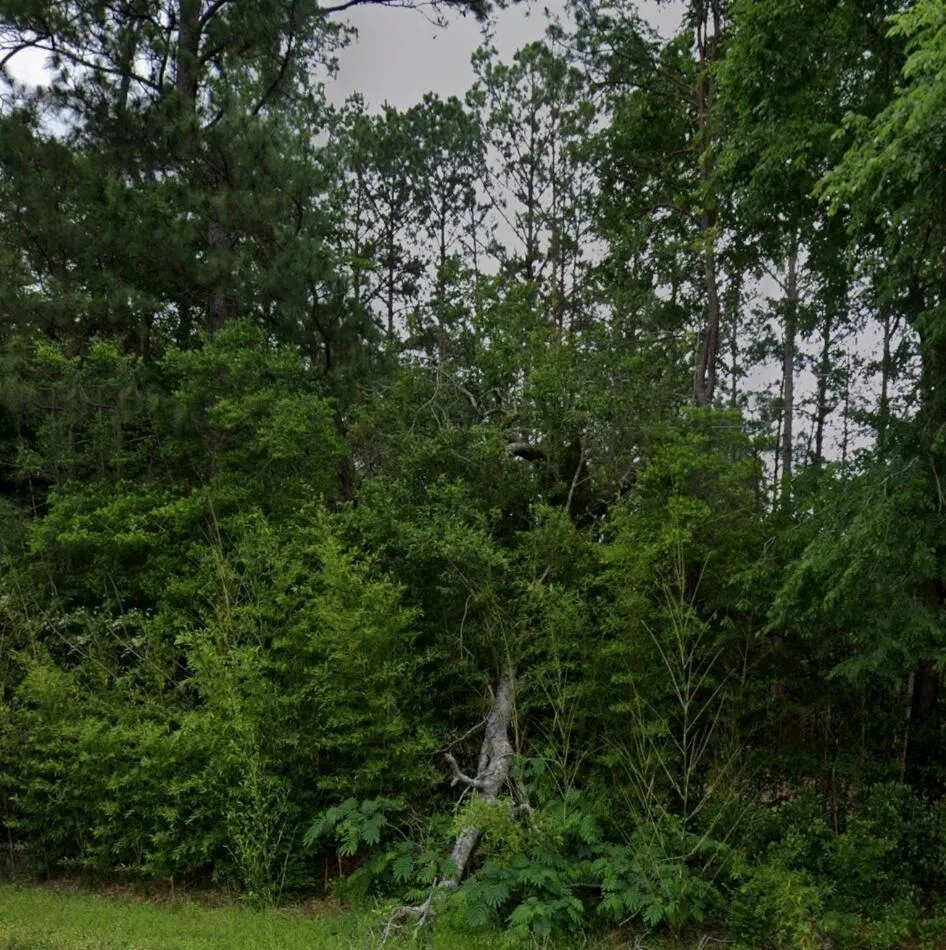 44 Fm 3414 Jasper, TX 75951