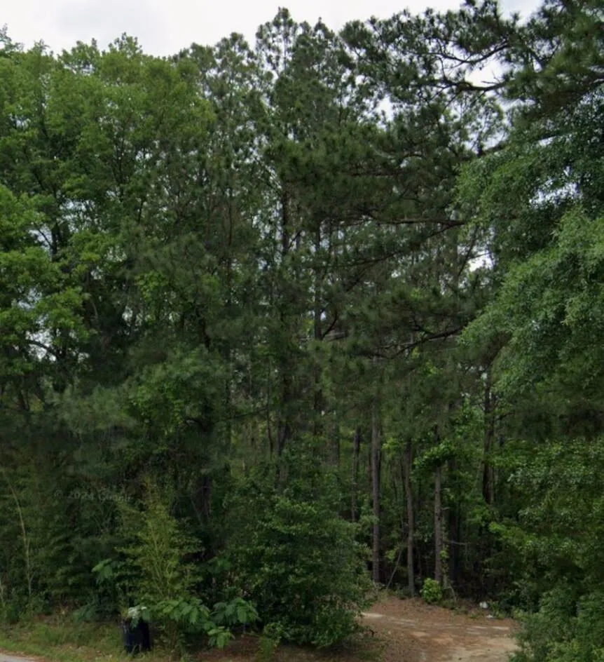 44 Fm 3414 Jasper, TX 75951