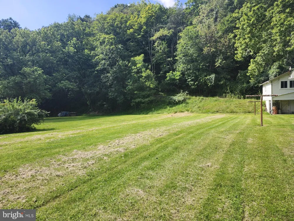 497 DRY RUN RD. Burlington, WV 26710