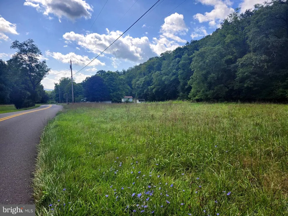 497 DRY RUN RD. Burlington, WV 26710