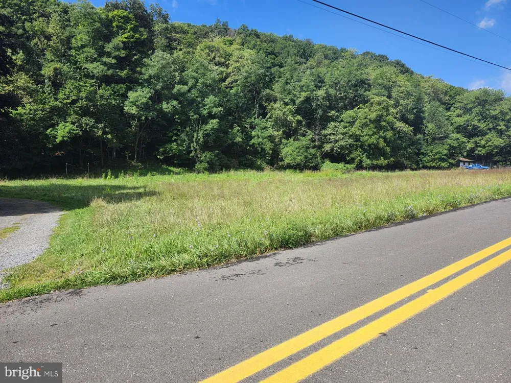 497 DRY RUN RD. Burlington, WV 26710