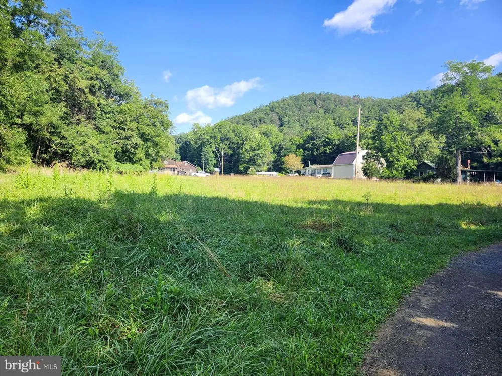 497 DRY RUN RD. Burlington, WV 26710