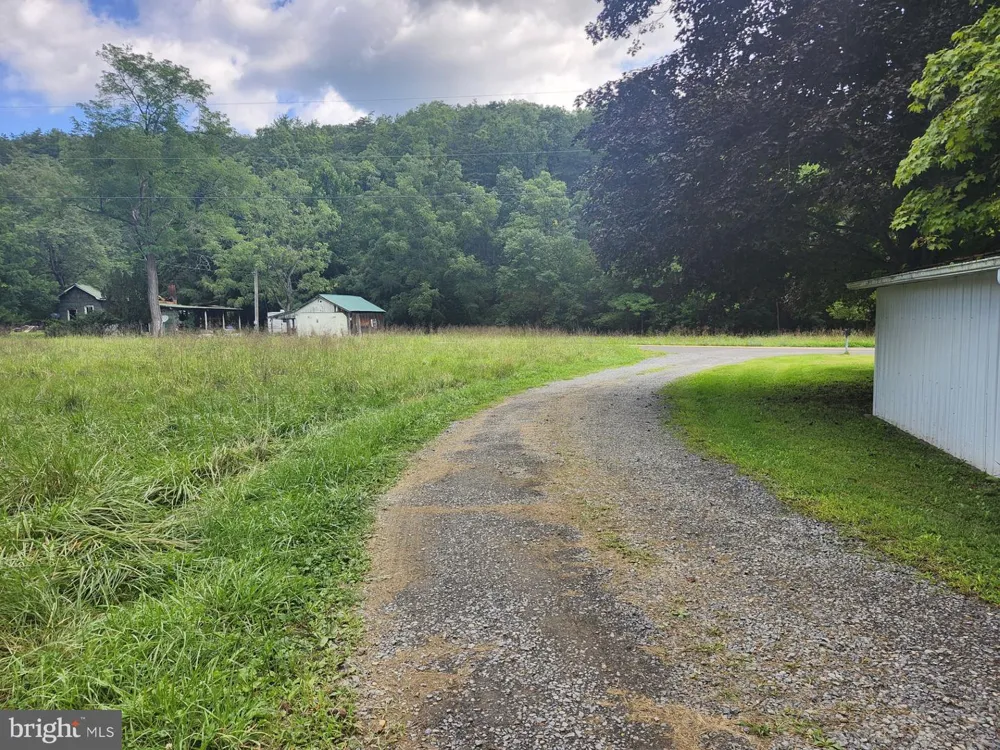 497 DRY RUN RD. Burlington, WV 26710