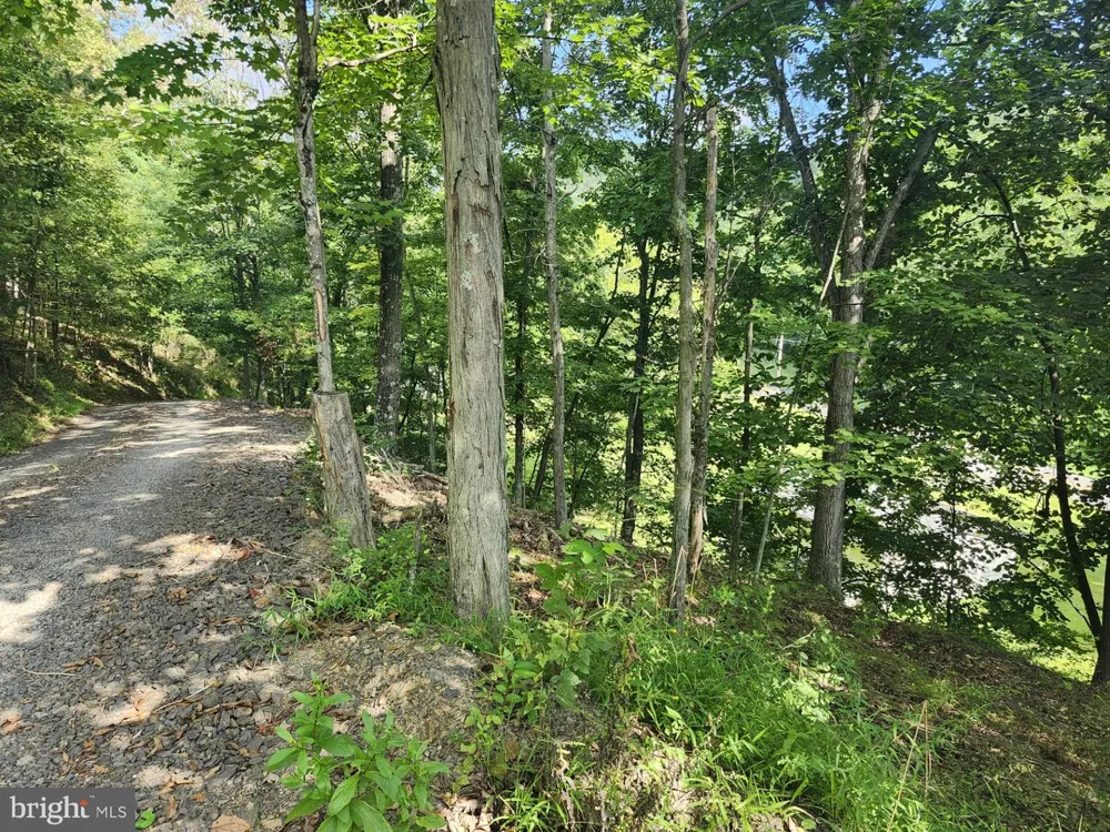 497 DRY RUN RD. Burlington, WV 26710