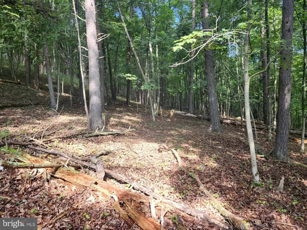 497 DRY RUN RD. Burlington, WV 26710