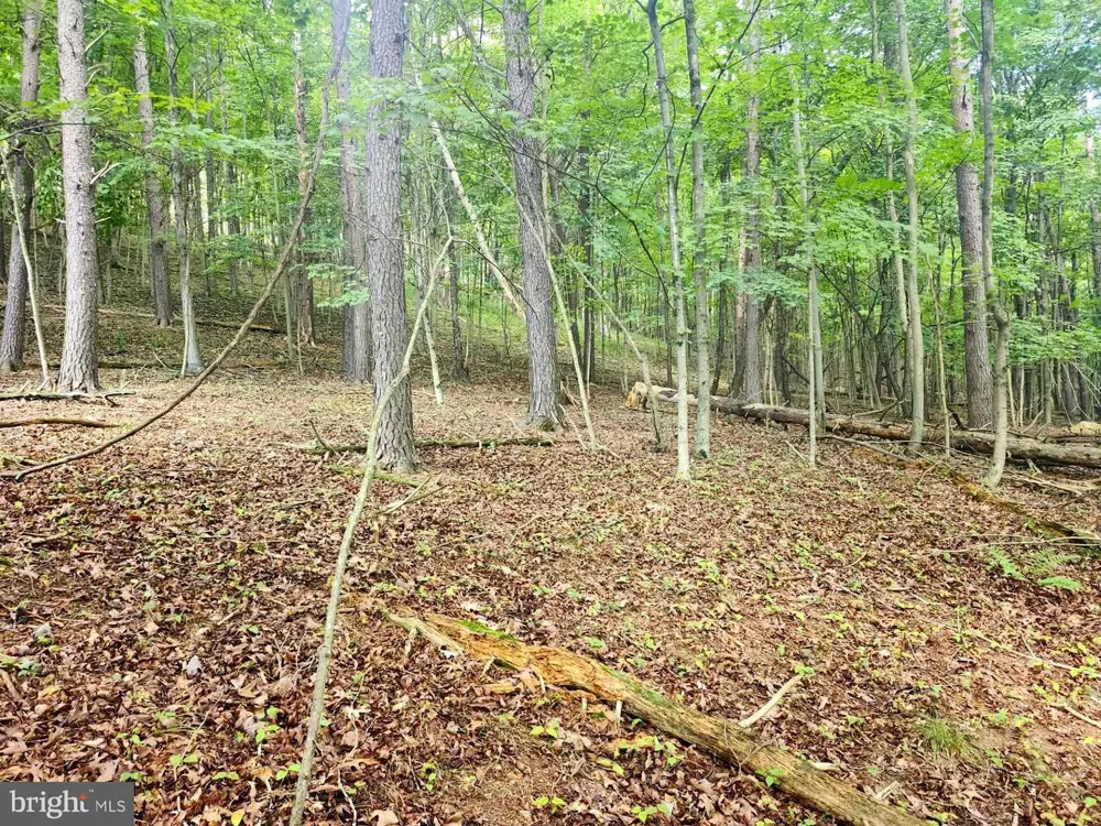 497 DRY RUN RD. Burlington, WV 26710