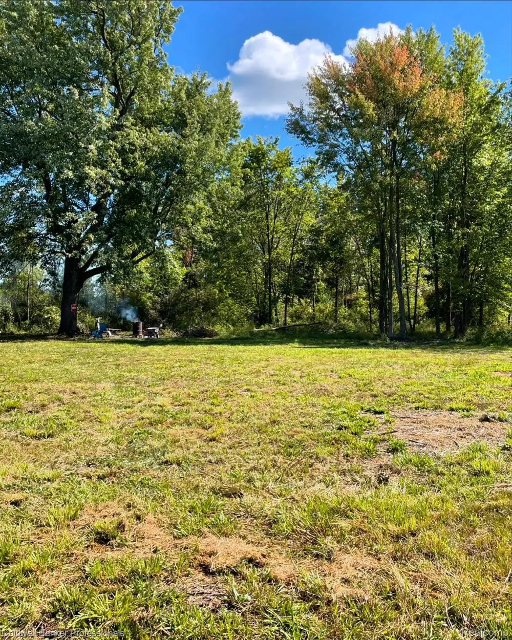 126 Homestead Lane Imlay Township, MI 48444