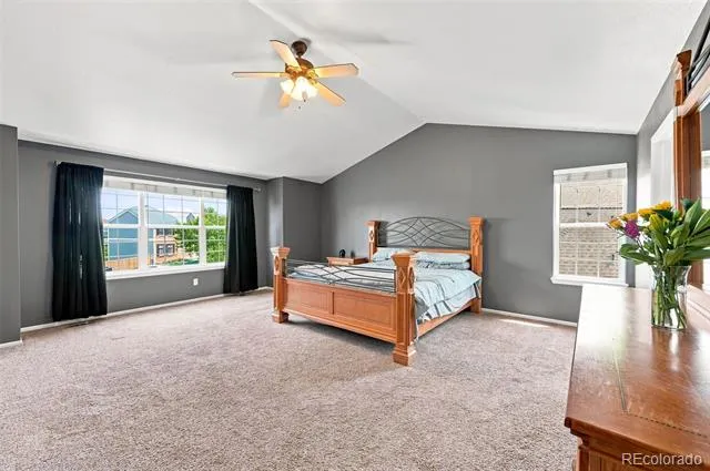 11630 Snowcreek Lane Parker, CO 80138