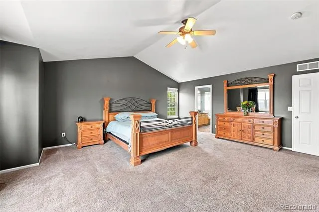 11630 Snowcreek Lane Parker, CO 80138