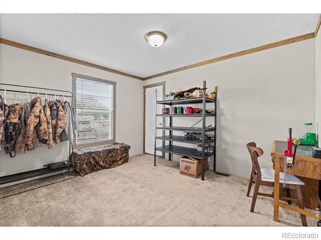 405 E Main Avenue Pierce, CO 80650