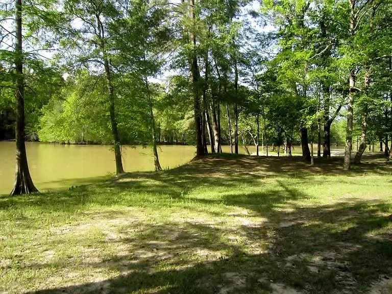 28710 Misty Oaks Drive Huffman, TX 77336