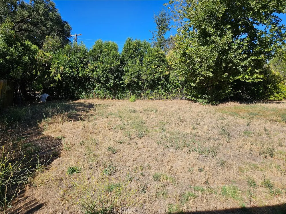 4934 Indian Peak Mariposa, CA 95338