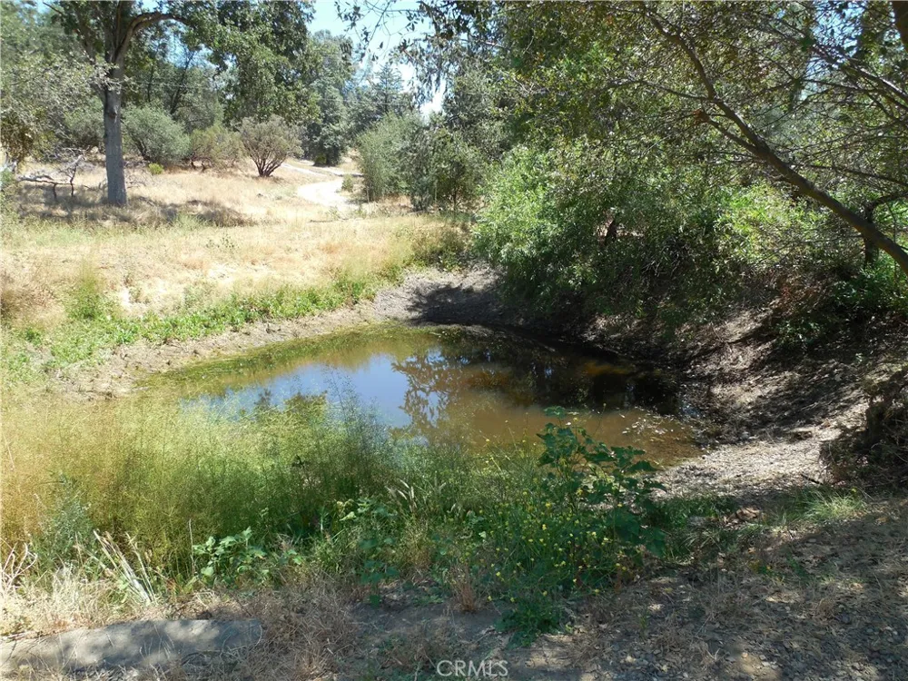 4934 Indian Peak Mariposa, CA 95338