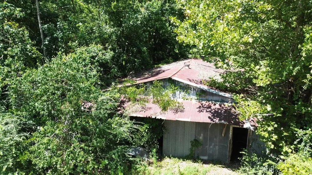 48 Fm 1013 W Kirbyville, TX 75956