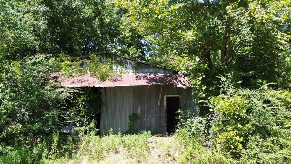 48 Fm 1013 W Kirbyville, TX 75956