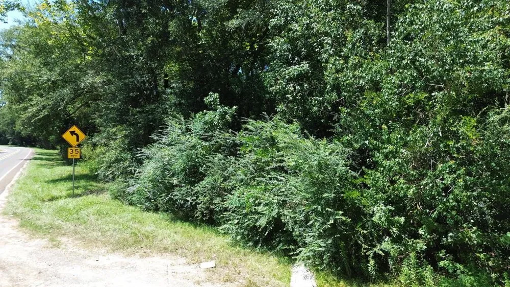 48 Fm 1013 W Kirbyville, TX 75956