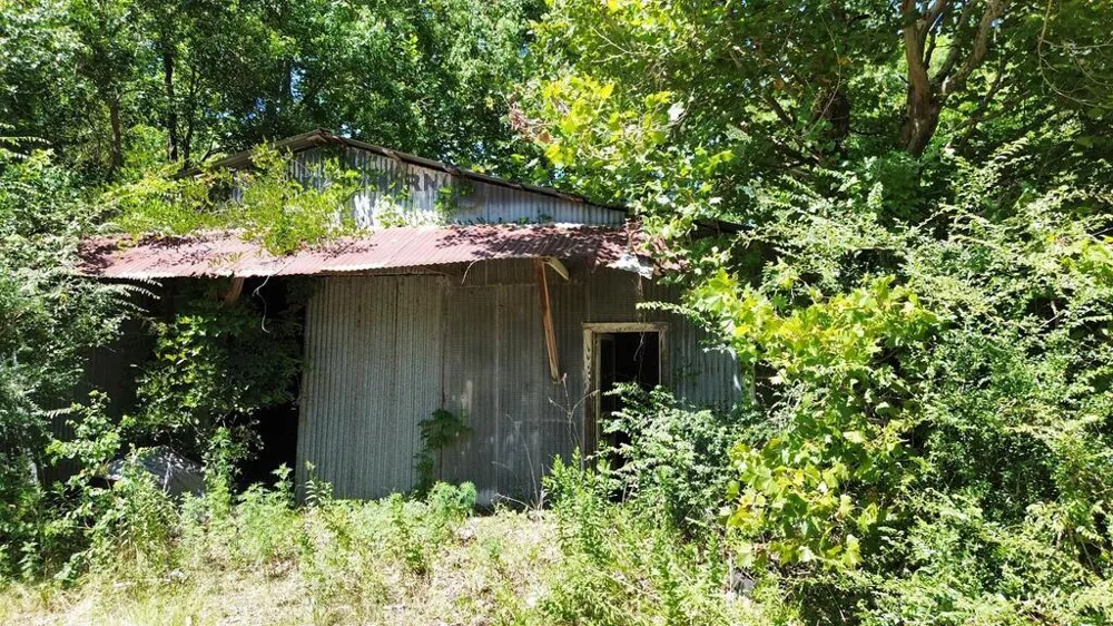 48 Fm 1013 W Kirbyville, TX 75956