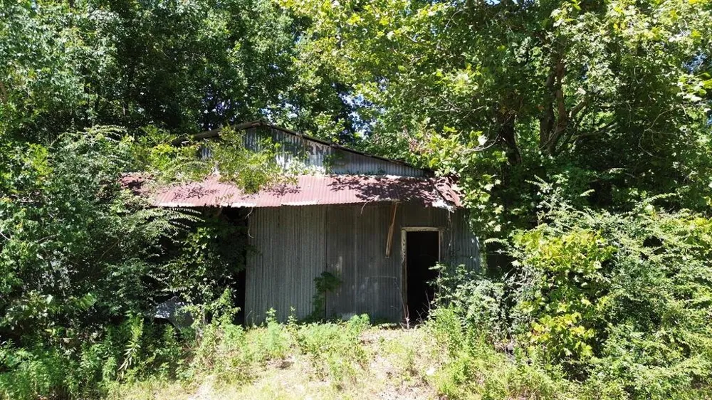 48 Fm 1013 W Kirbyville, TX 75956