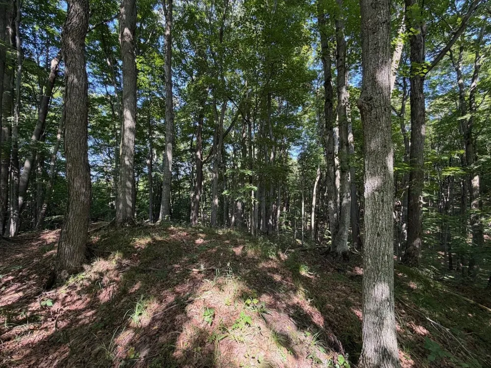 Ranch Drive Kearney Township, MI 49615