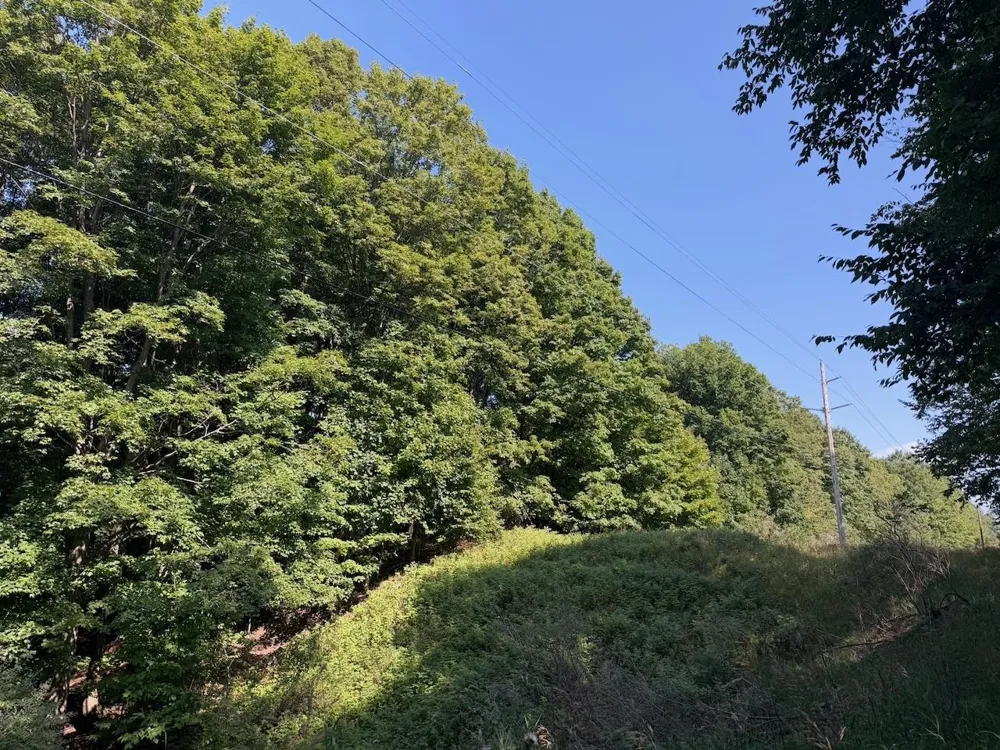 Ranch Drive Kearney Township, MI 49615