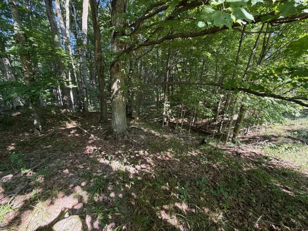 Ranch Drive Kearney Township, MI 49615