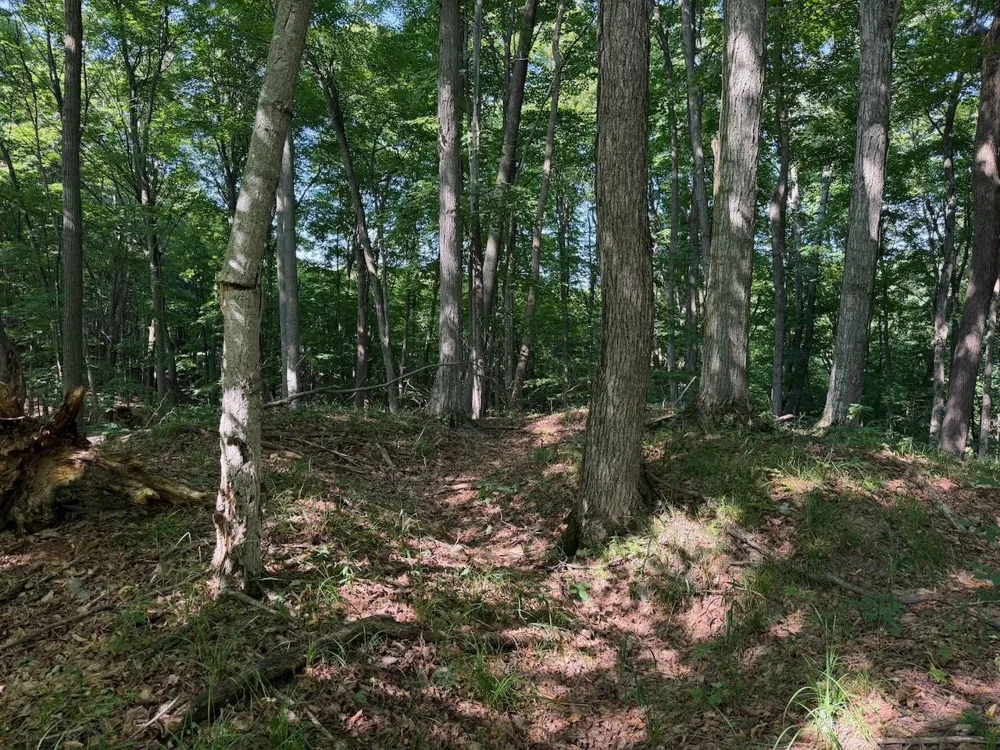 Ranch Drive Kearney Township, MI 49615