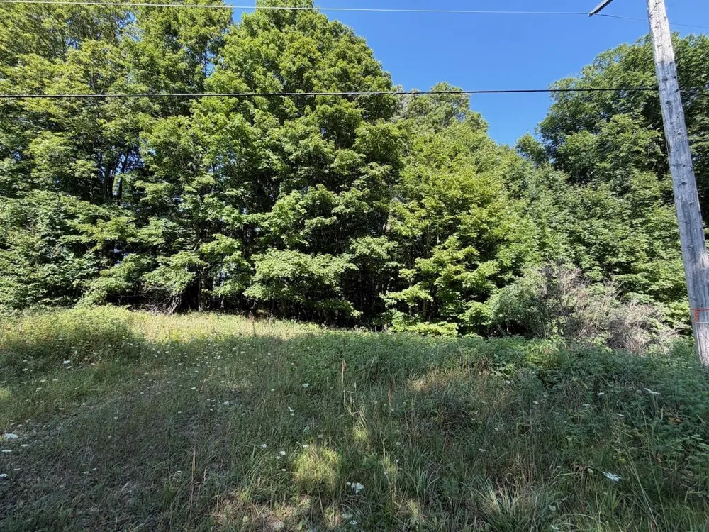 Ranch Drive Kearney Township, MI 49615