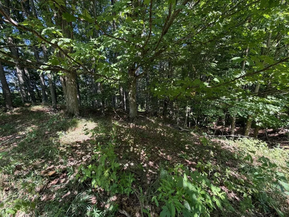 Ranch Drive Kearney Township, MI 49615