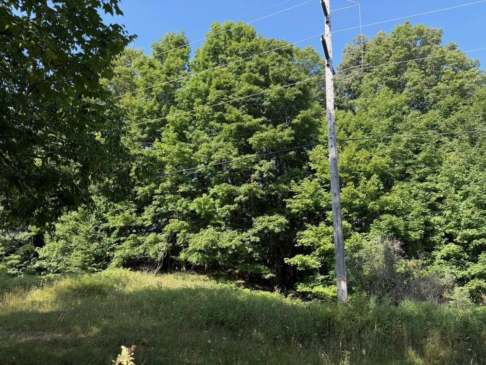 Ranch Drive Kearney Township, MI 49615