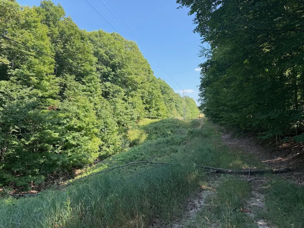 Ranch Drive Kearney Township, MI 49615