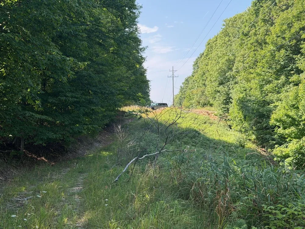Ranch Drive Kearney Township, MI 49615