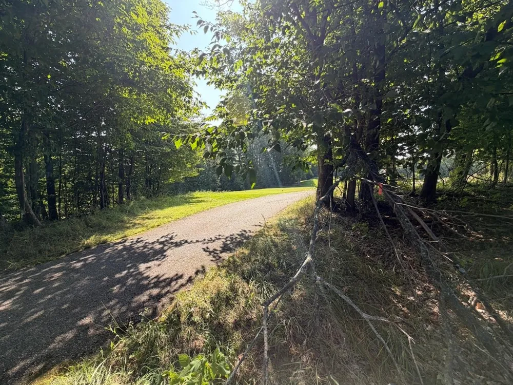 Ranch Drive Kearney Township, MI 49615