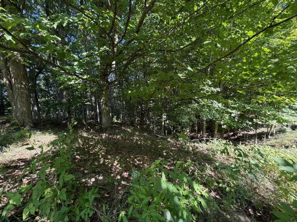 Ranch Drive Kearney Township, MI 49615