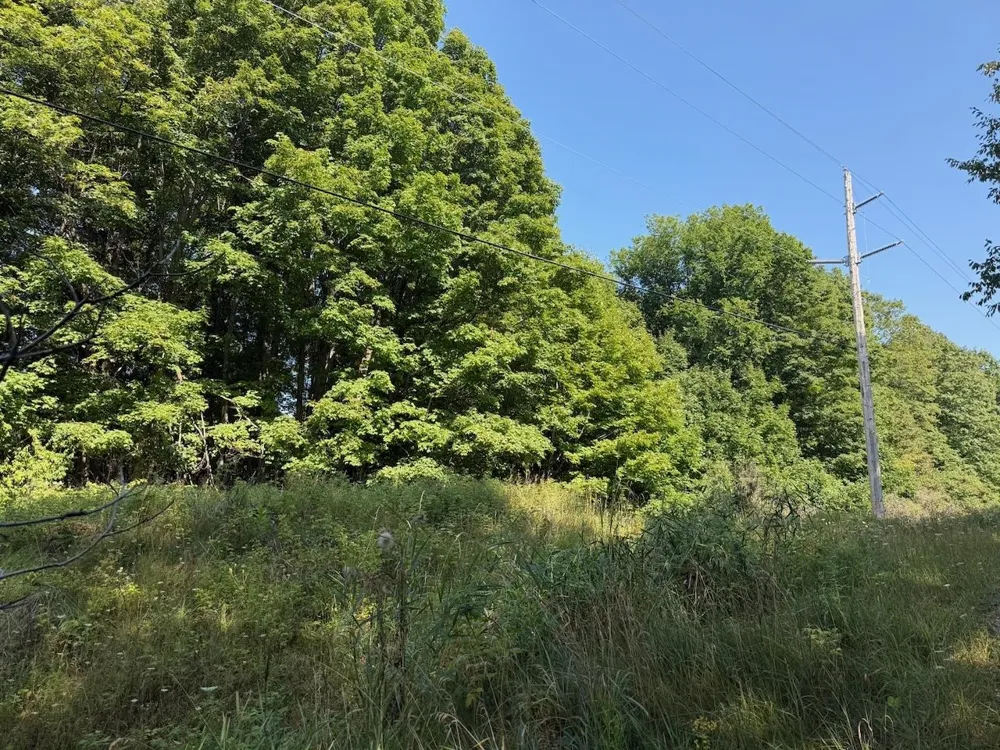 Ranch Drive Kearney Township, MI 49615