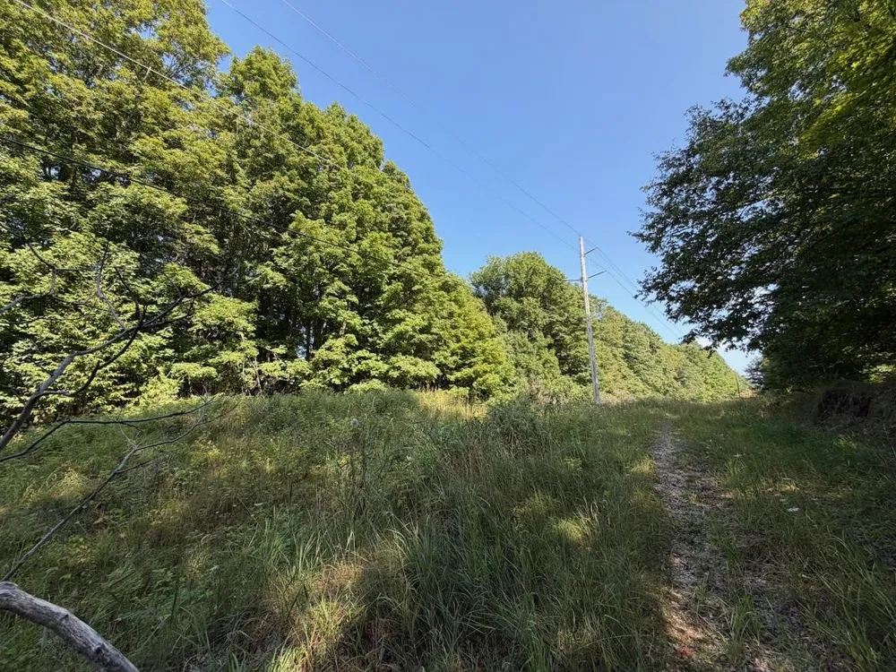 Ranch Drive Kearney Township, MI 49615