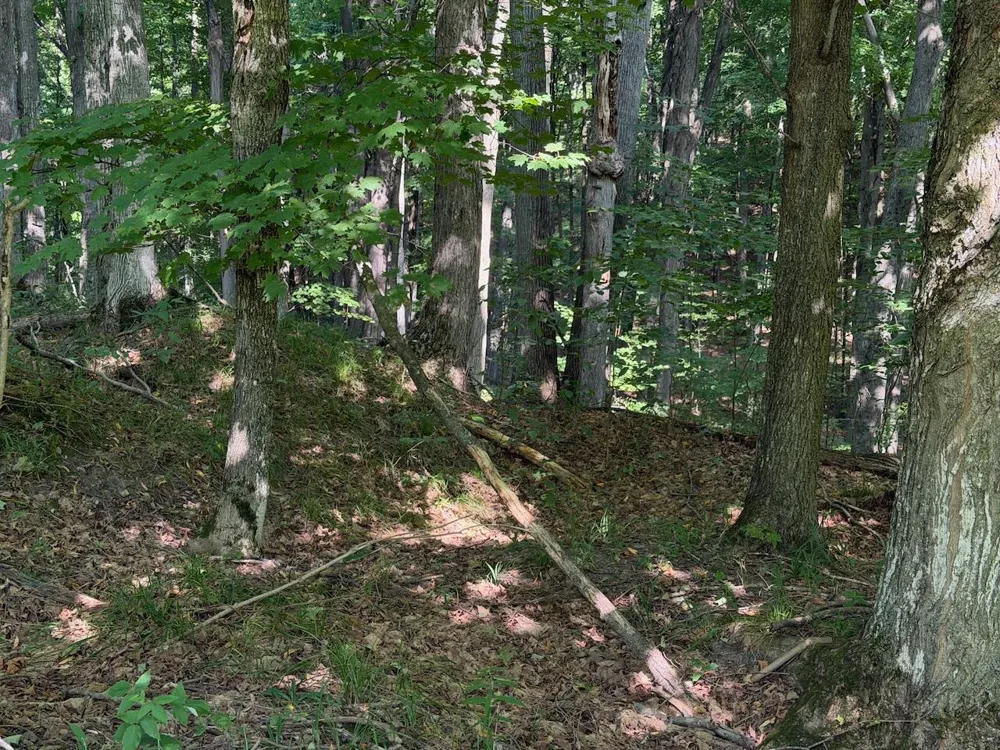 Ranch Drive Kearney Township, MI 49615
