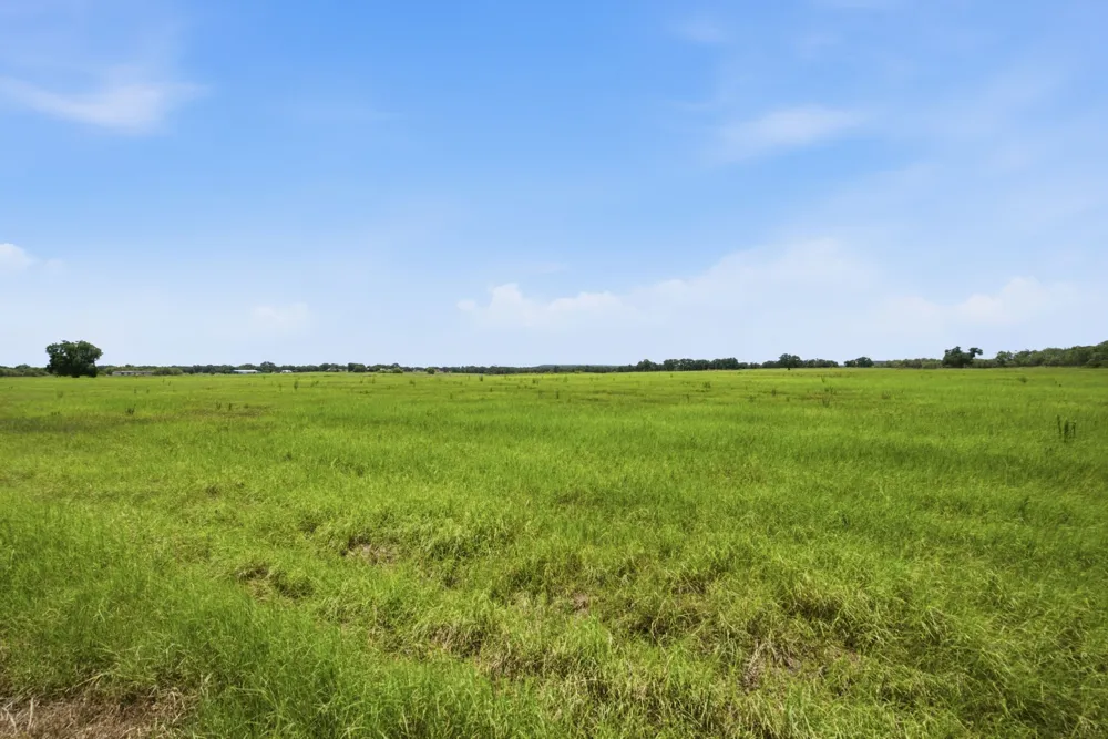 Bosley Road Santo, TX 76472