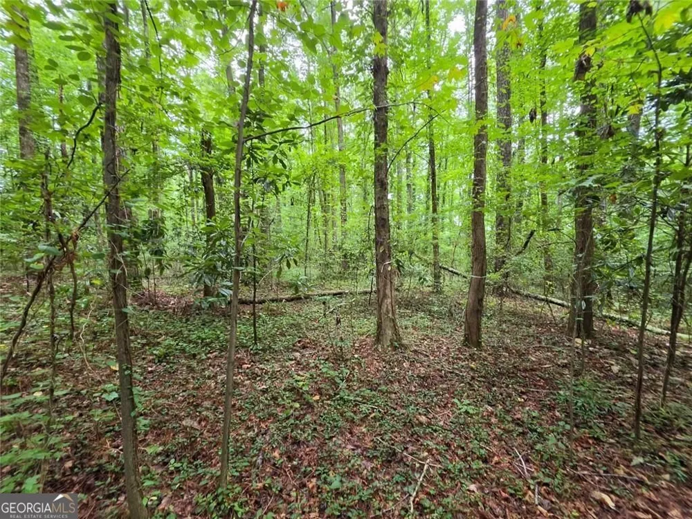 0 Brookwood DR Mableton, GA 30126